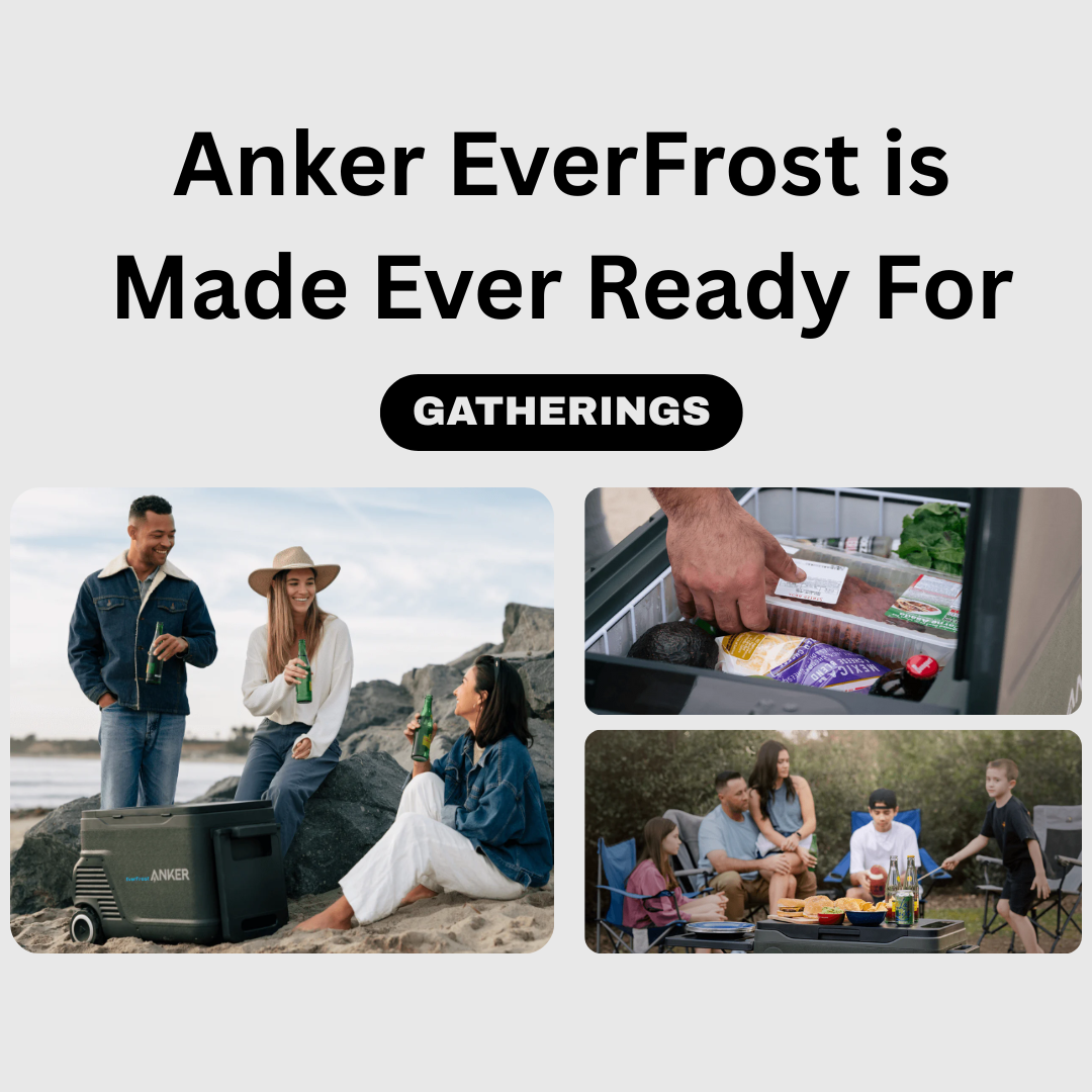 Anker Everfrost 30 Portable Smart Fridge (30L)