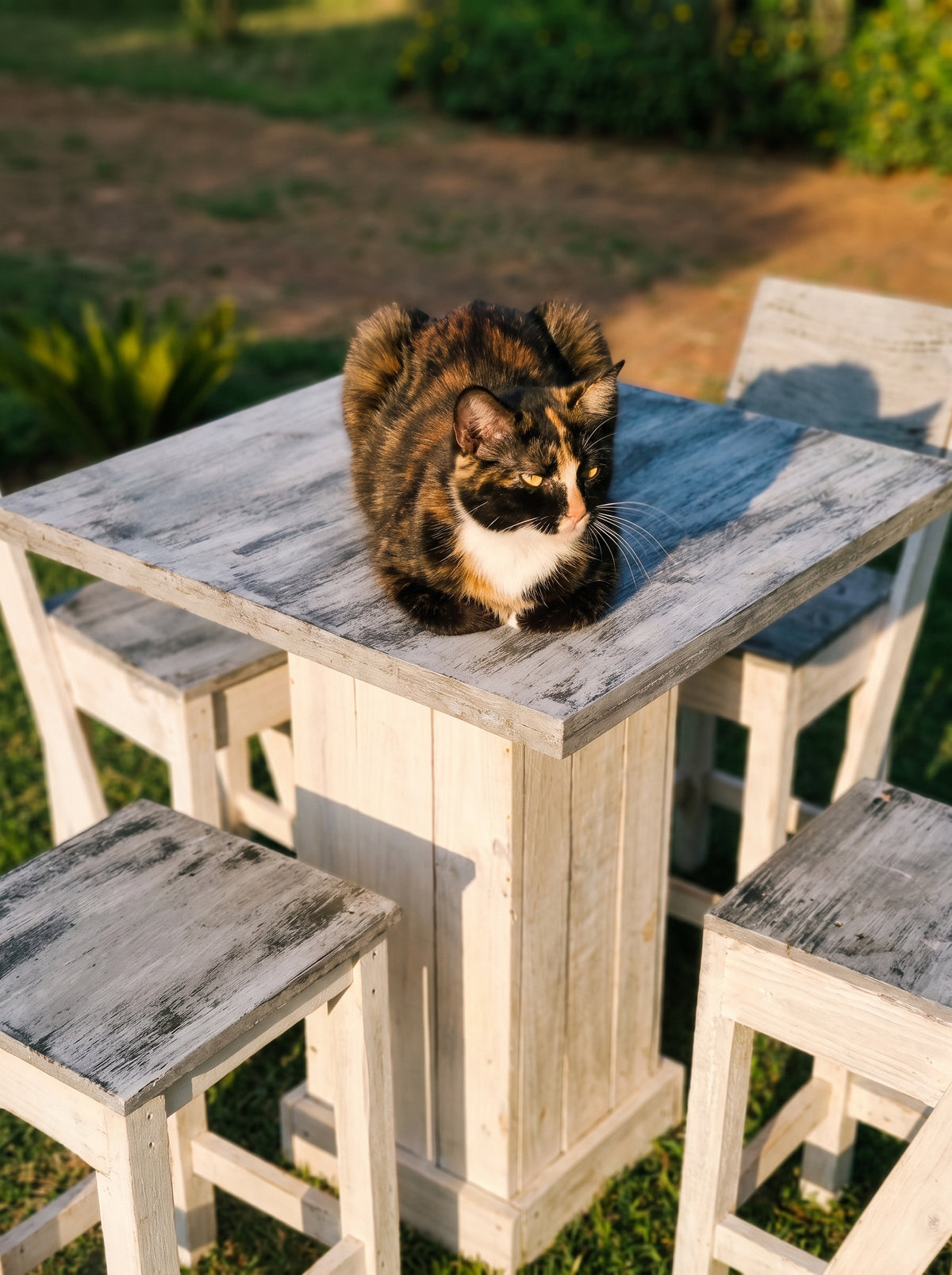 Rustic Solid Pinewood Dining Set